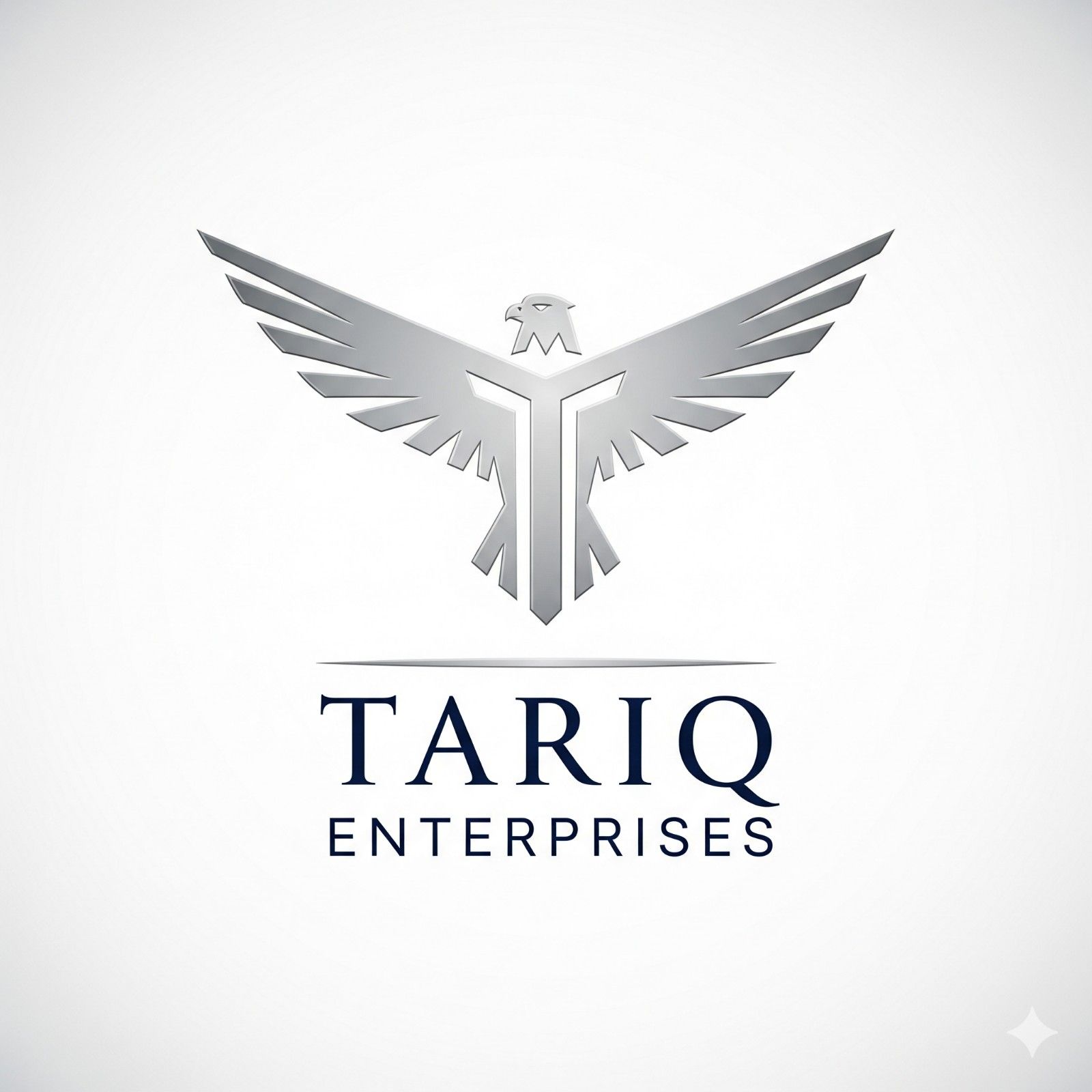 Tariq Enterprises